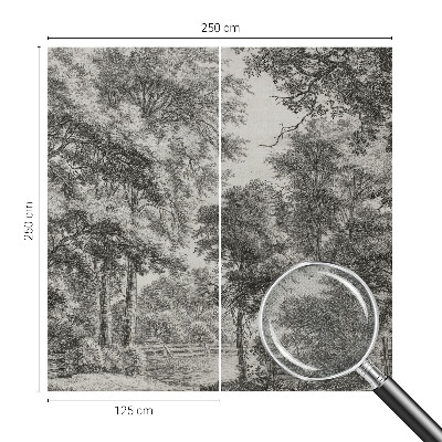 3D fototapetas Skovlandskabas