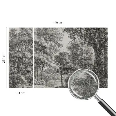 3D fototapetas su Skovlandskabas motyvu
