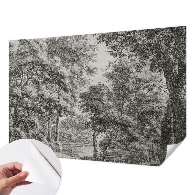 3D fototapetas su Skovlandskabas motyvu