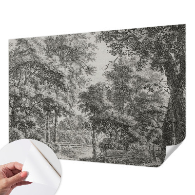 3D fototapetas su Skovlandskabas motyvu