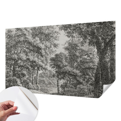 3D fototapetas su Skovlandskabas motyvu