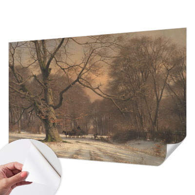 3D fototapetas sienoms su žiemos šalių motyvu