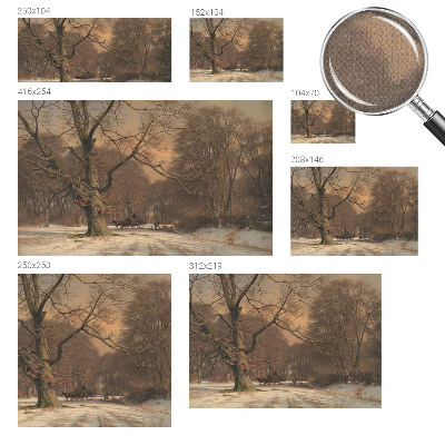 3D fototapetas sienoms Žiemos šalis