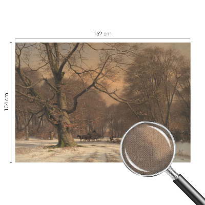 3D fototapetas sienoms su žiemos šalių motyvu