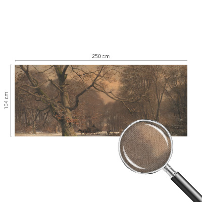 3D fototapetas sienoms su žiemos šalių motyvu