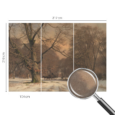3D fototapetas sienoms su žiemos šalių motyvu