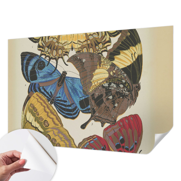 3D fototapetas Įkvėpimas vasarai