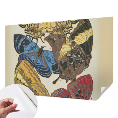 3D fototapetas Įkvėpimas vasarai