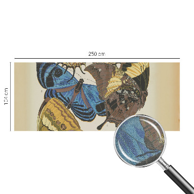 3D fototapetas Įkvėpimas vasarai