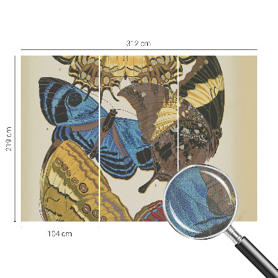 3D fototapetas Įkvėpimas vasarai