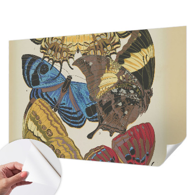 3D fototapetas Įkvėpimas vasarai