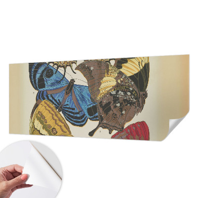 3D fototapetas su vasaros motyvais