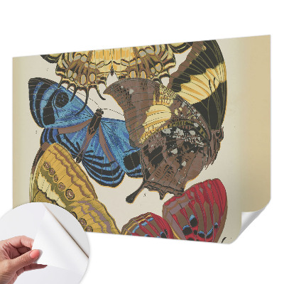3D fototapetas su vasaros motyvais