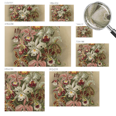 3D fototapetas sienoms Blomsteragtig elegancija