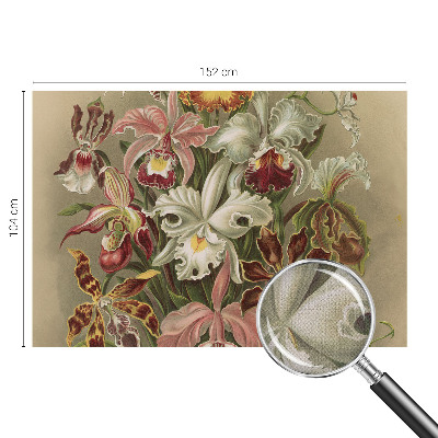 3D fototapetas sienoms Blomsteragtig elegancija