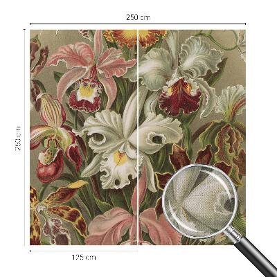 3D fototapetas sienoms Blomsteragtig elegancija