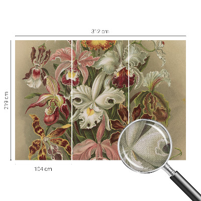 3D fototapetas sienoms Blomsteragtig elegancija