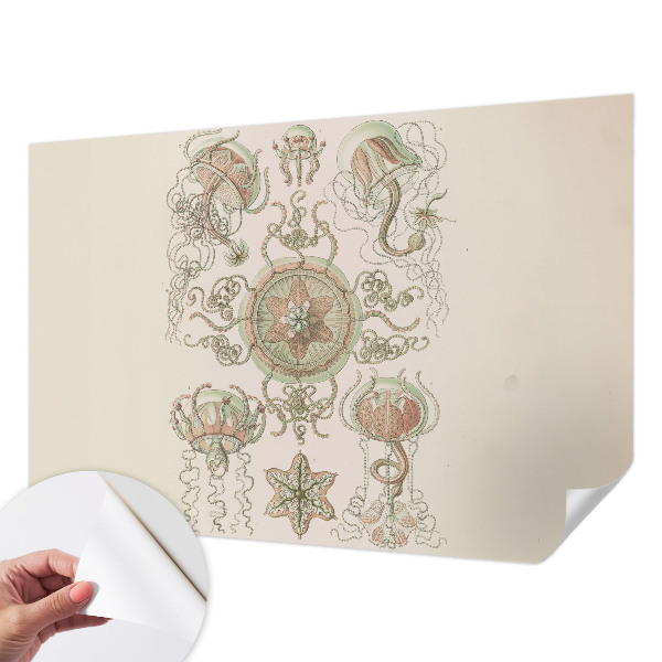 Fototapetas vaikams Undervandsverden