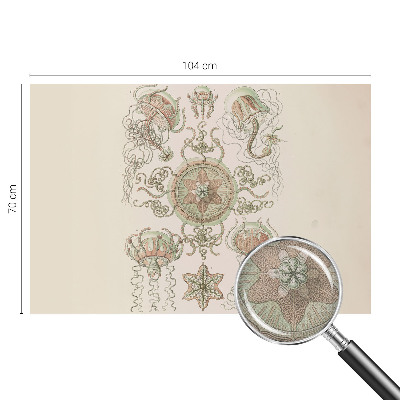 Fototapetas vaikams Undervandsverden