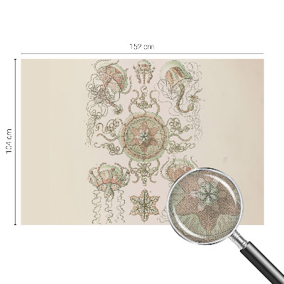 Fototapetas vaikams Undervandsverden