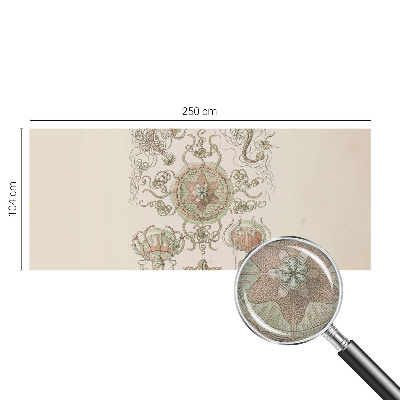 Fototapetas vaikams Undervandsverden