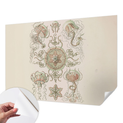 Fototapetas vaikams Undervandsverden