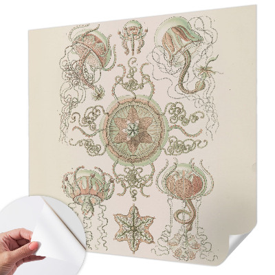 Fototapetas vaikams Undervandsverden