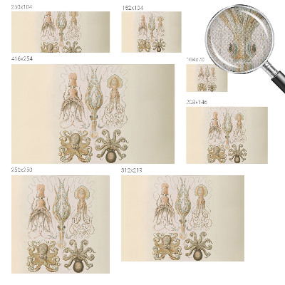 Fototapetai Havlivas