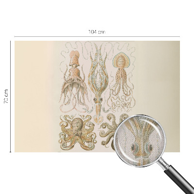 Fototapetai Havlivas