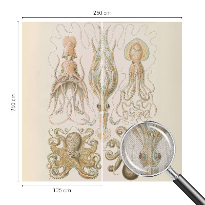 Fototapetai Havlivas