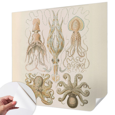 Fototapetai Havlivas