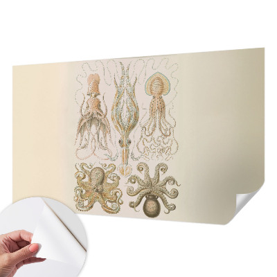 Fototapetai Havlivas