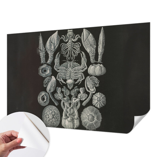 Tapetai Povandeninis formuotojas