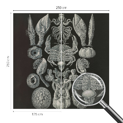 Tapetai Povandeninis formuotojas