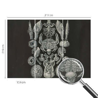 Tapetai Povandeninis formuotojas