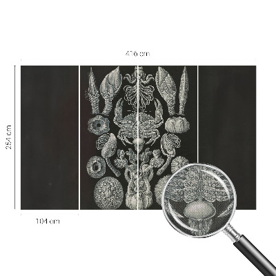 Tapetai Povandeninis formuotojas