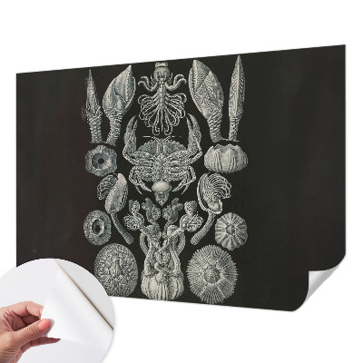 Tapetai Povandeninis formuotojas