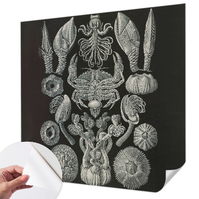 Tapetai Povandeninis formuotojas