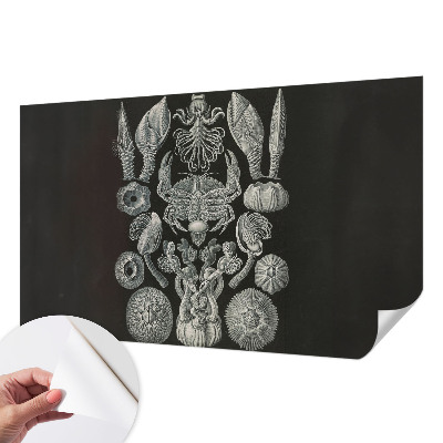 Tapetai Povandeninis formuotojas