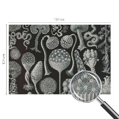 Savaime lipnus fototapetas Magiske sodintuvas