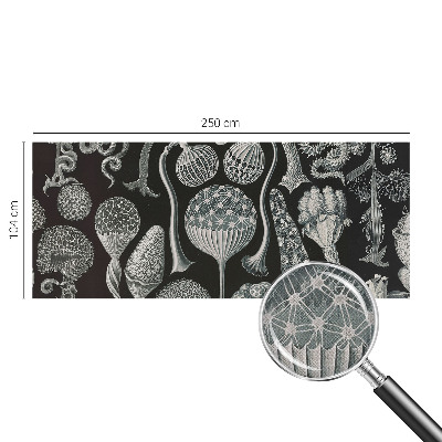 Savaime lipnus fototapetas Magiske sodintuvas