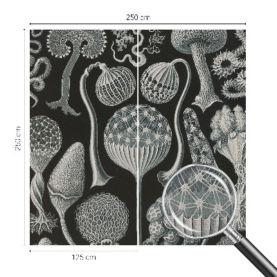 Savaime lipnus fototapetas Magiske sodintuvas