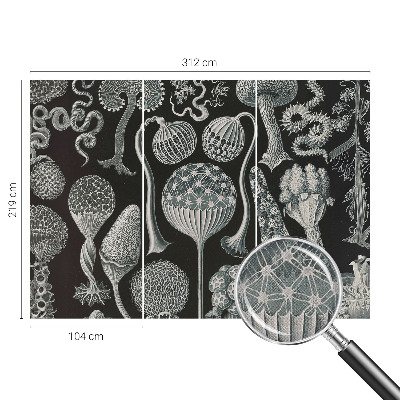 Savaime lipnus fototapetas Magiske sodintuvas