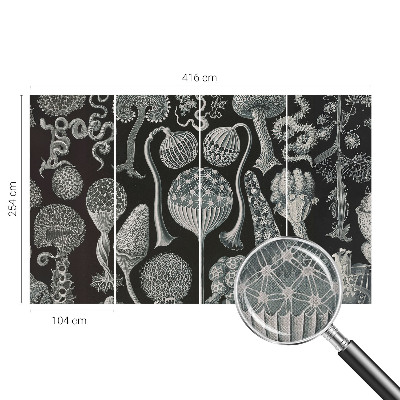 Savaime lipnus fototapetas Magiske sodintuvas