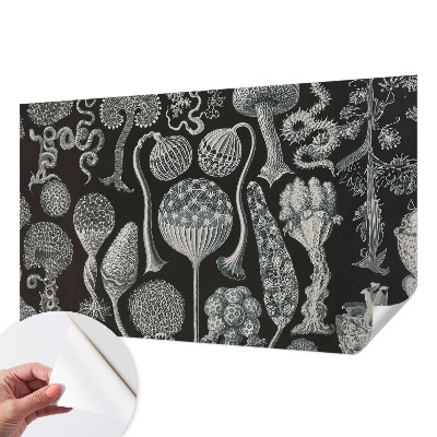 Savaime lipnus fototapetas Magiske sodintuvas