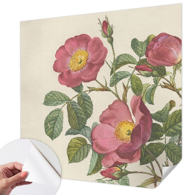 3D fototapetas Rozmotyvas