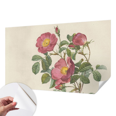 3D fototapetas Rozmotyvas