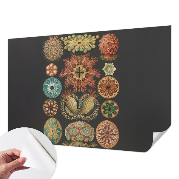 Savaime lipnus fototapetas Įkvėpėjas