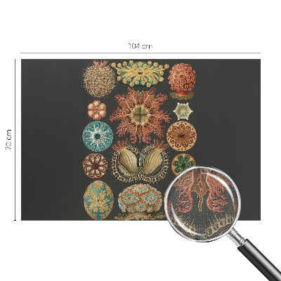 Savaime lipnus fototapetas Įkvėpėjas