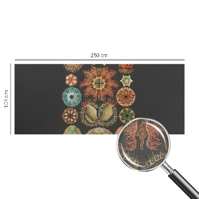 Savaime lipnus fototapetas Įkvėpėjas